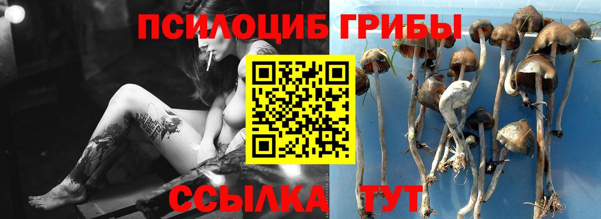 Псилоцибиновые грибы мицелий Людиново